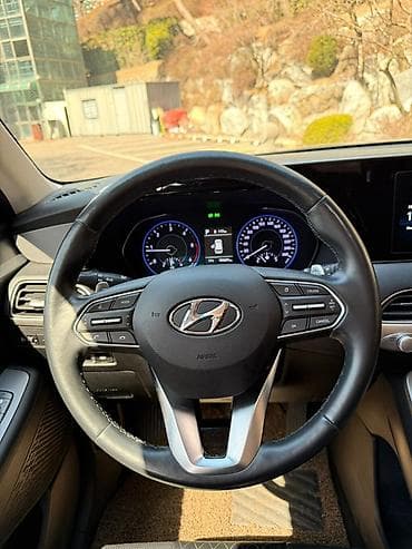 2020: Hyundai Palisade: 2020 г., 2.2 л, Автомат, Дизель, Кроссовер — 5