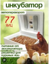 связи с переездом: Продается инкубаторы оптом ив розницу Россия Китай полный автомат — 1