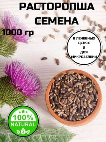 семена расторопши: Расторопша пятнистая или silybum marianum - колючее растение с — 3