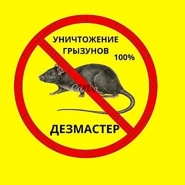 тараканы: Дезинфекция, дезинсекция, | Клопы, Блохи, Тараканы, | Транспорт, Офисы, Квартиры — 1