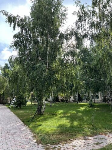 купить дом 200 кв м: Батир, | Asia Palace, Сары-Ой, Балдар аянтчасы, Унаа токтотуучу жай, унаа туруучу жай, Коргоодогу аймак — 10