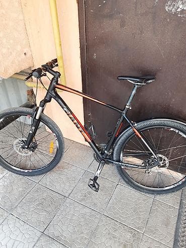 Пластик эшиктер: Велосипед giant — 1