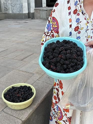 Ягоды: Дары кошулбаган, Артезиан суу менен сугарылган, таза даарат менен — 2
