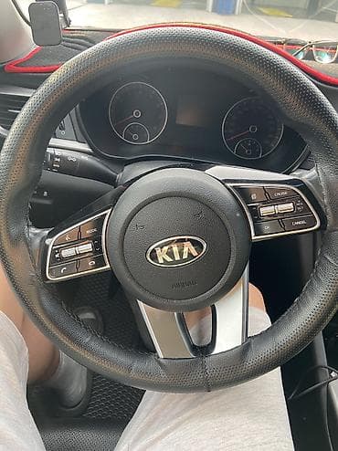 киа к 5 хищник: Kia K5: 2019 г., 2 л, Автомат, Газ, Седан — 9