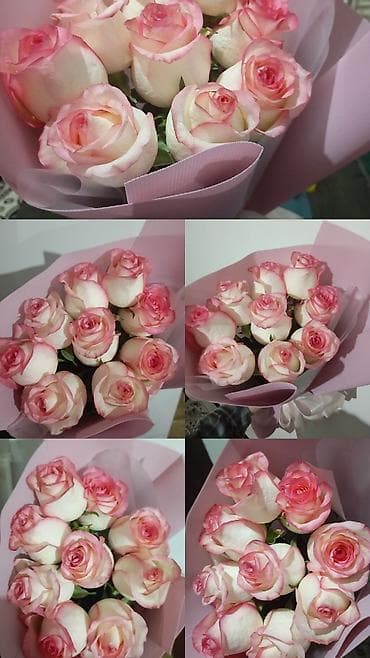 куплю розы: Букет роз «Биколор» 🌹 Букет из 9 роз (премиум) Очень свежие, нежный — 1