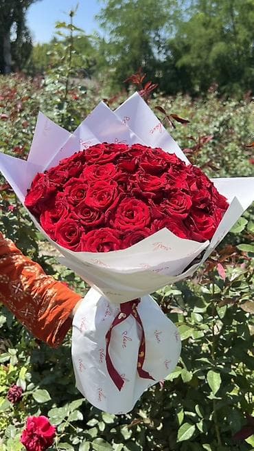 Букет из красных роз 
Принимаем заказ.
51 шт 1000 сом 101 шт 1500 сом — 3