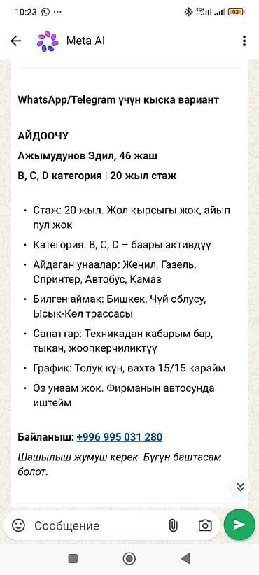 Услуга: водитель категории B, C, D с 20‑летним стажем - Опыт: 20 лет