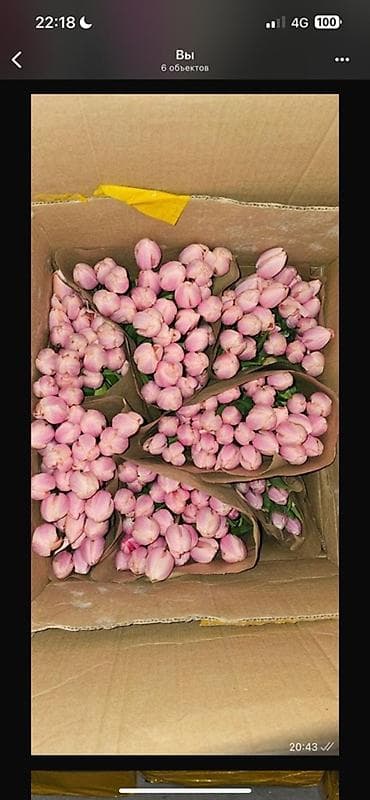 упаковка цветов: Тюльпаны в крафтовой упаковке - Сорта: розовые (нежные пастельные — 4