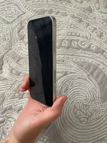 ноутбуки айфон: IPhone 12 Pro, Күмүш — 3