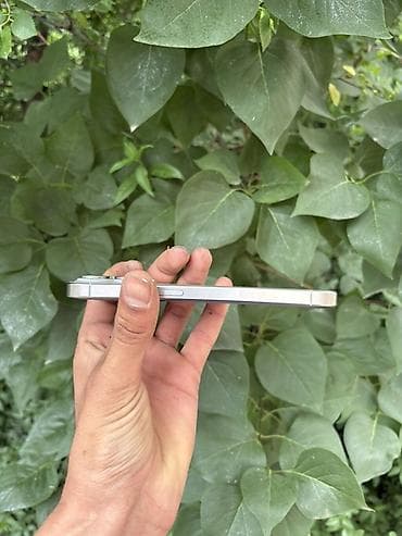 macbook pro m3 pro: IPhone 14 Pro, Серебристый — 3
