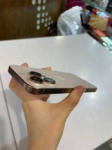 se 2016: IPhone 16 Pro, 128 ГБ, Серебристый, 91 % — 1