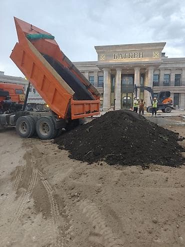 Чернозём (плодородная земля) с доставкой самосвалом - Фракция