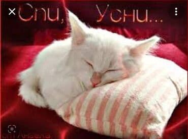 зонты для кафе: Изготавливаем перьевые подушки на заказ! Любые размеры, на новом — 4