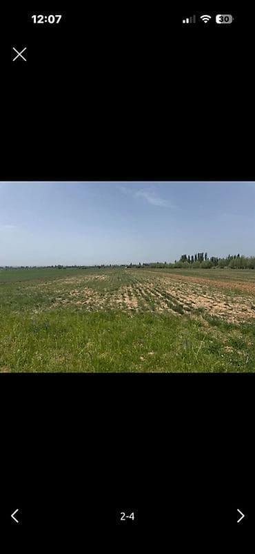 Недвижимость: 1009 соток, Для сельского хозяйства — 3