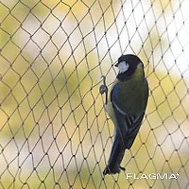 кастинговый сет: Сетка для птичников, сетка для птичника купить, сетка пластиковая для — 1