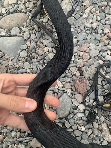 Жгут проводки двигателя/подкапотной части для автомобиля. W210 e320 — 3