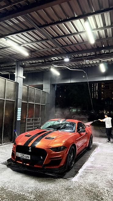 лиса на колесах: Ford Mustang: 2017 г., Купе — 3