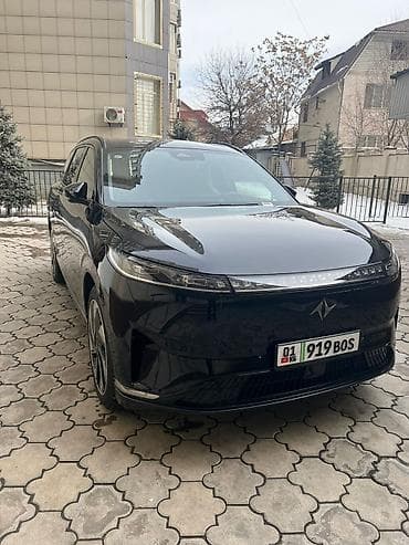2025: Dongfeng : 2025 г. — 1