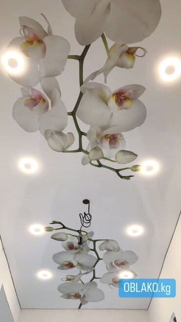 пластиковые панели для потолка цена бишкек: Натяжной потолок Глянцевое, Матовое, 3D потолки Бесплатный замер, Гарантия, Бесплатная консультация — 3