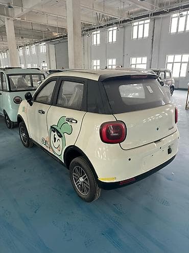 Microcar: Microcar : 2026 г., Электромобиль, Вэн/Минивэн — 7