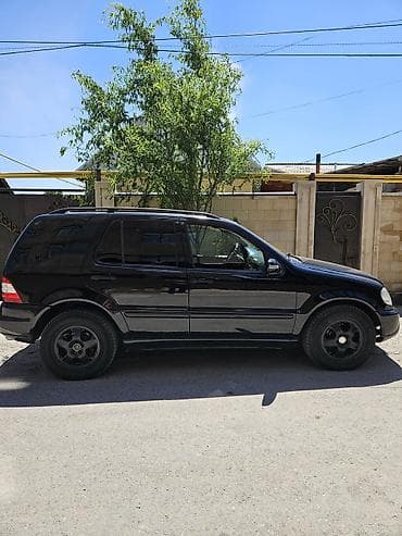 Mercedes-Benz ML-Class: 2002 г., 3.2 л, Автомат, Бензин, Кроссовер