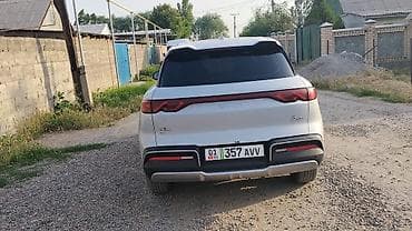 BYD Yuan Up: 2024 г. — 1