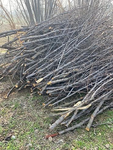 Дрова: Дрова — 2