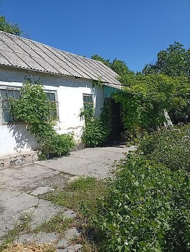сколько стоит 1 га земли сельхозназначения: Продам дом участок в Сукулуки 8 соток земли фактически 13 соток есть — 3