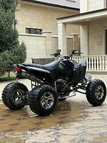 мото секил: Квадроцикл Бензин, 320 куб. см, Взрослый — 1