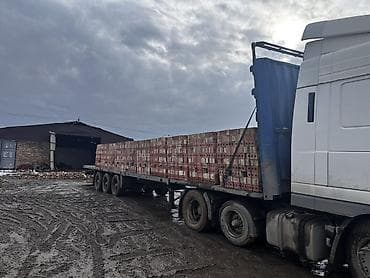 Строительный кирпич: Пустотелый, дырчатый, Жженый кирпич, Одинарный, 250×120×65 — 1