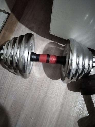 Электр транспорту: Регулируемая гантель с хромированными блинами - Тип: разборная — 1