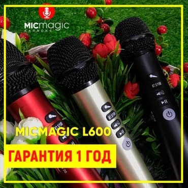 студийный микрофон samson: Караоке микрофон Micmagic L600 (оригинал)
самый громкий микрофон — 2