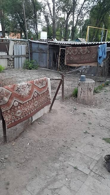 Комнаты: Жилое помещение, пол дома, раён пригородное по Васильевскому Тракту. - — 7