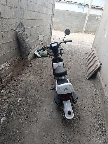 моно колисо: Скутер Panda, белый цвет, компактный городской формат. Основные — 2