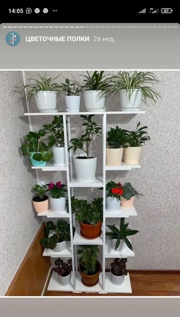 полка для цветок: Цветочница Цветочные полки Цветочные горшки Стеллаж Полки классика — 14