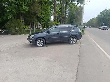Lexus: Lexus RX: 2004 г., 3 л, Автомат, Бензин, Кроссовер — 5