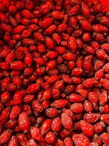 яблоко цена за кг: Шиповник сатам 150сом 1 тонна тел 

Баткен Кадамжай — 4