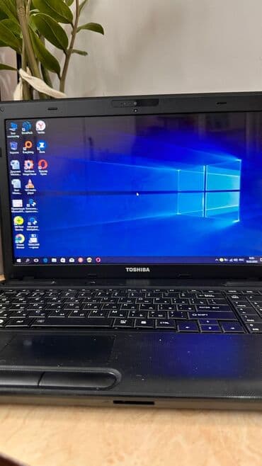vaio ноутбук: Ноутбук, Toshiba, Intel Celeron, 15.6 ", Колдонулган, Татаал эмес тапшырмалар үчүн, эс тутум SSD — 3