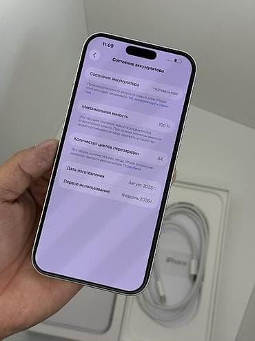 обмен на электро: IPhone 17 Pro Max, Б/у, Серебристый, Кабель, Коробка, 100 % — 5
