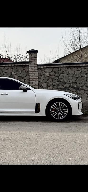 наклейки на авто: Kia Stinger: 2018 г., Бензин, Фастбек — 1