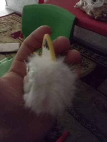 Пушистый брелок-помпон - Компактный брелок с мягким белым помпоном из