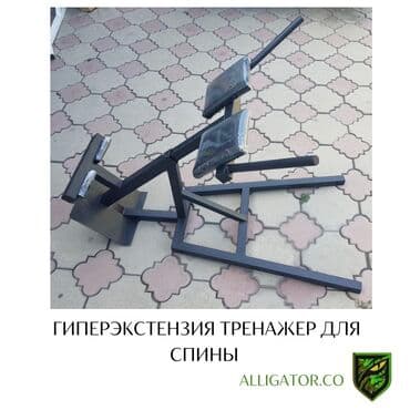 разгибание ног: Силовой тренажер, Гиперэкстензия, Для спины, Новый, Платная доставка, Самовывоз — 1