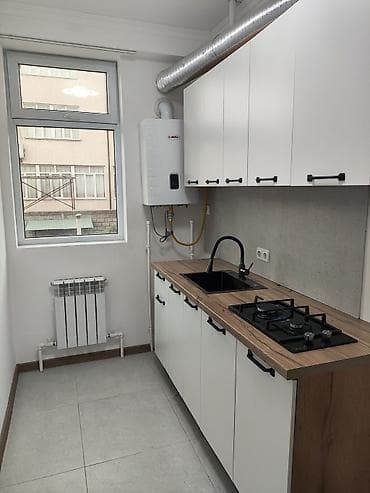 1 бөлмө, Менчик ээси, Жарым -жартылай эмереги бар