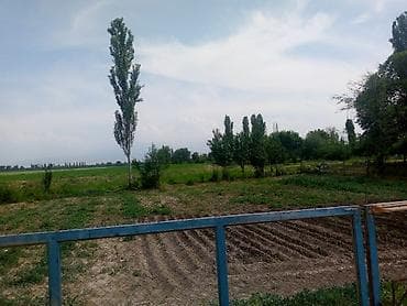 ломбард часов: Времянка, 52 м², 2 комнаты, Собственник — 2