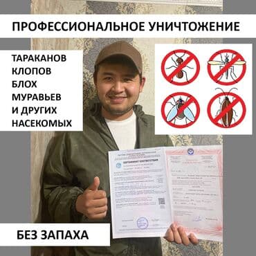 Дезинфекция, дезинсекция, | Клопы, Блохи, Тараканы, | Транспорт, Офисы, Квартиры at lalafo.kg Дезинфекция, дезинсекция, | Клопы, Блохи, Тараканы, | Транспорт, Офисы, Квартиры
