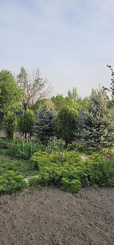 Дома: Продаётся благоустроенный дом с участком. Дом: - Просторная гостиная — 5