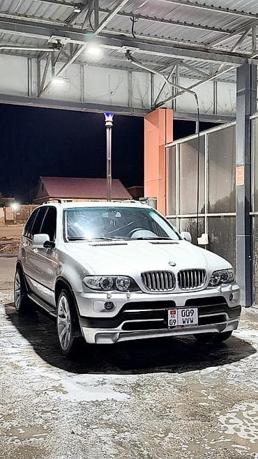 Продажа авто: BMW X5: 2004 г., Дизель, Кроссовер — 1