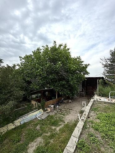 участок жар баши: 5 соток, Красная книга — 3