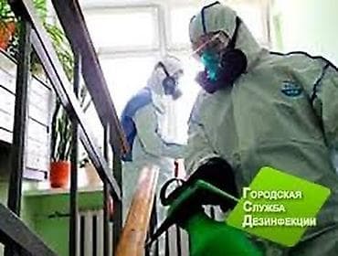 Дезинфекция, дезинсекция, | Обработка деревьев, Блохи, Вирусы, микробы, | Квартиры, Транспорт, Дворы