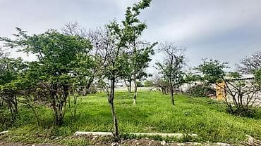 ул московская: 5 соток, Для строительства, Красная книга — 3